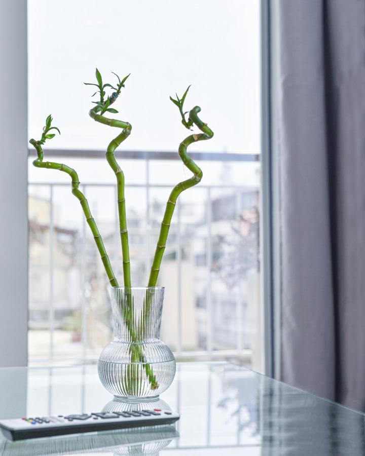 Glassy Apartment أثينا المظهر الخارجي الصورة